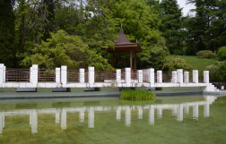 Китайский дворик в дендрарии Сочи