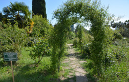 Сад непрерывного цветения в сочинском дендрарии