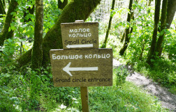 Маршруты и достопримечательности Тисо-самшитовой рощи