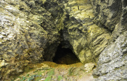 Тисо-самшитовая роща - пещера