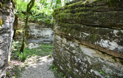 Лабиринт и Балка Лабиринтовая - Тисо-самшитовая роща