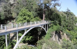 Тбилисский ботанический сад