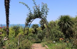 Ботанический сад в Батуми