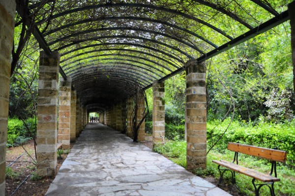 Национальный сад в Афинах