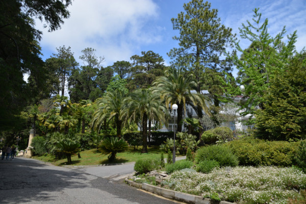 Дендрарий Сочи