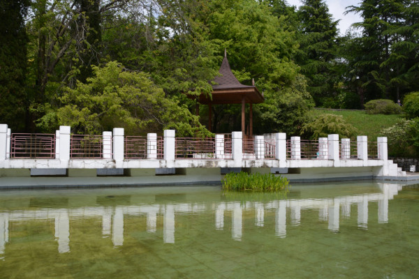 Китайский дворик в дендрарии Сочи