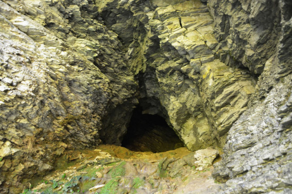 Тисо-самшитовая роща - пещера