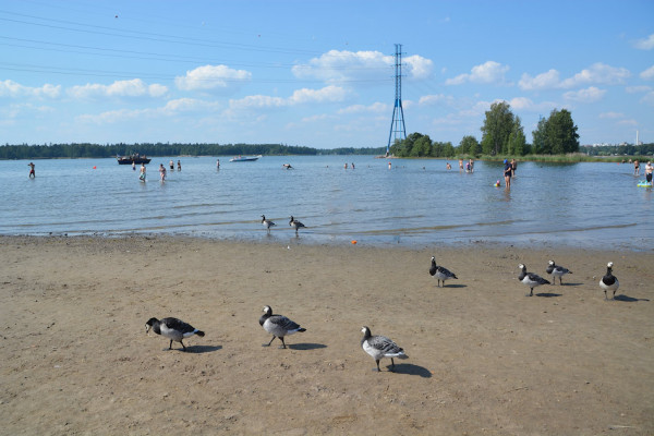 Городской пляж Hietaranta в Хельсинки