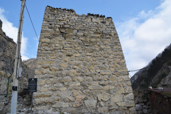 Сторожевая башня Гутновых