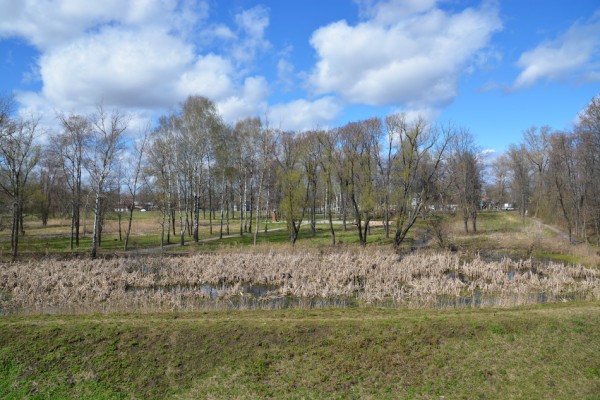 Комсомольский парк в Ростове