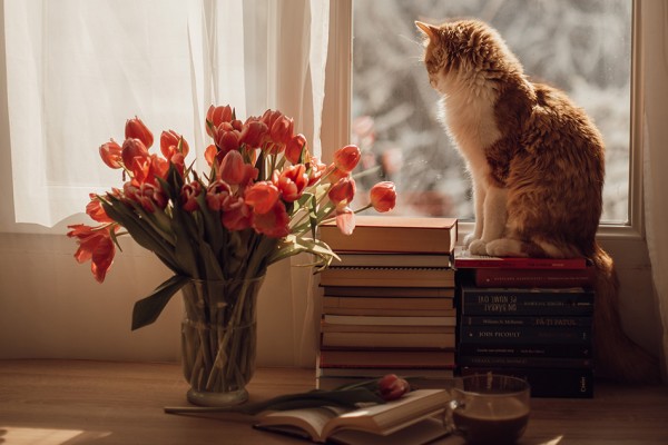 Доставка цветов за границу: Каковы преимущества международной доставки цветов?