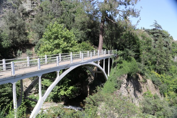 Тбилисский ботанический сад